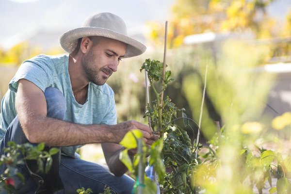 les tendances du marketing de contenu à suivre pour rester compétitif